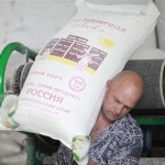 هيئة السلع التموينية المصرية: لا مشاكل في تمويل استيراد القمح